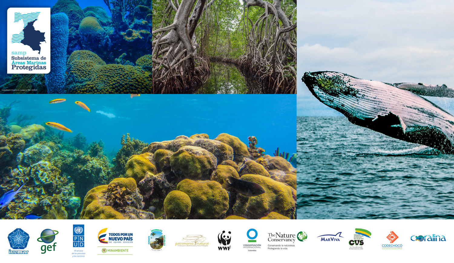 Colombia es 50% mar, aguas y costas que conservan 35 áreas marinas protegidas