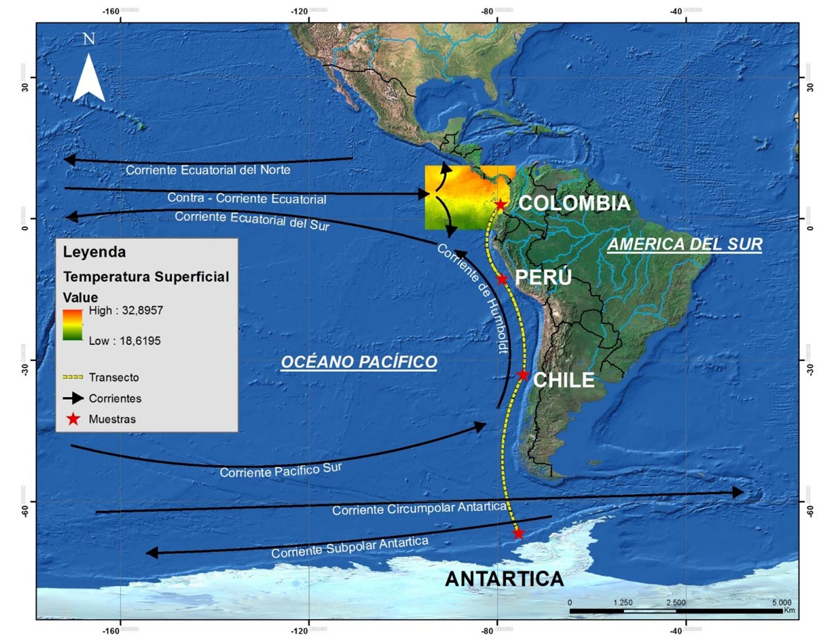 ruta hacia la antartida