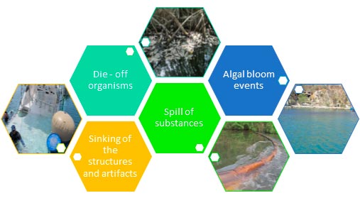 Most common types of emergencies attended by the GAMMA group Most common types of emergencies attended by the GAMMA group