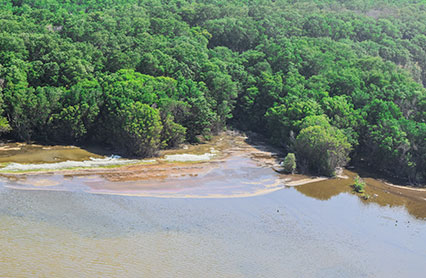 Resultados preliminares del monitoreo a la Ciénaga Grande Santa Marta
