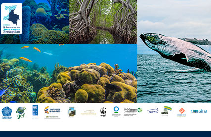 Colombia es 50% mar, aguas y costas que conservan 35 áreas marinas protegidas