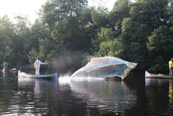 MAPCO Action: A Strategy For The Conservation And Sustainable Use Of Biodiversity And Ecosystem Services Of Mangroves And Seagrasses In The Colombian Caribbean
