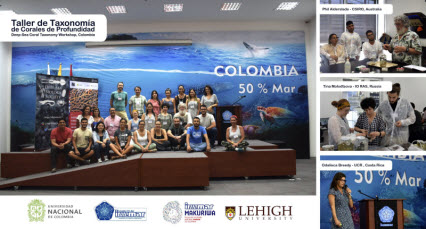 El primer Taller de Taxonomía de Corales de Profundidad  en Colombia se realizó en INVEMAR