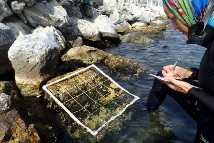 En breves: Corpamag, Invemar y Tú unidos por el cuidado de nuestros mares y costas