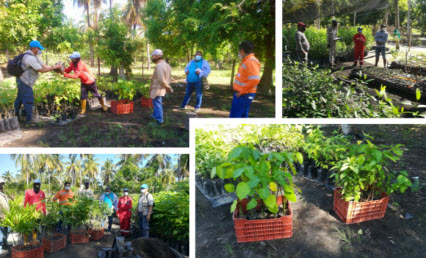 Proyecto Vivo Toribio: apoyando iniciativas locales de siembra y conservación