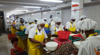 INVEMAR participa del Comité Mundial de Pesca con los logros  del proyecto REBYC II LAC