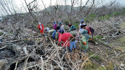 Desde INVEMAR fortalecemos las capacidades locales y la implementación de técnicas de restauración integral de manglar