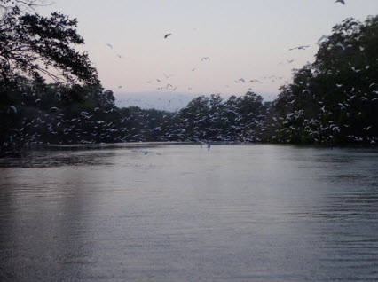 Corpamag e Invemar le apuestan a la alfabetización oceánica con el primer encuentro “Formador de Formadores”