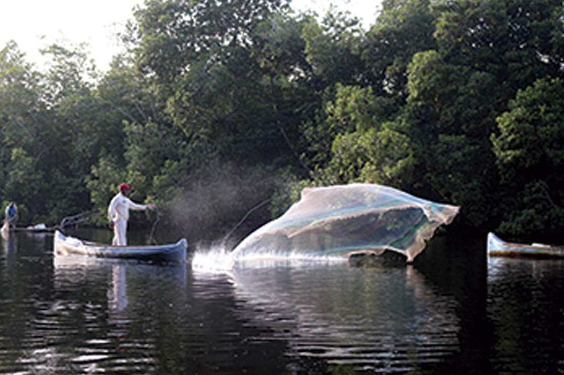 Acción MAPCO, un legado en el Caribe colombiano