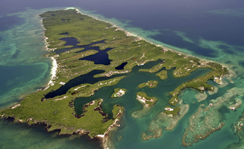 Curso Cambio Climatico: Carbono Azul y adaptación basada en ecosistemas marinos y costeros 2019