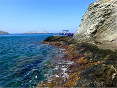 3rd Marine Biodiversity Workshop: from the Sea to the Cloud 2020