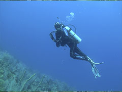 Curso Áreas Marinas Protegidas 2020