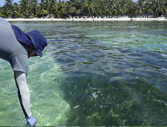 Curso  Estandarización de las mediciones analíticas requeridas para la estimación del índice de Calidad de Aguas Marinas y Costeras (ICAM) 2020