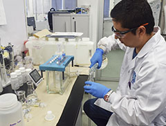 Curso regional de capacitación y entrenamiento sobre medición del sistema de carbonatos para la evaluación del indicador de acidez media del mar  2021