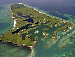 Curso de Fundamentos en Ciencia de Datos 2021