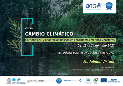 Curso OTGA: Cambio Climático: Carbono azul y adaptación basada en ecosistemas marinos y costeros.