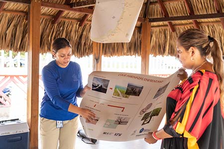 Comunidades de La Guajira, comprometidas con la protección de los pastos marinos