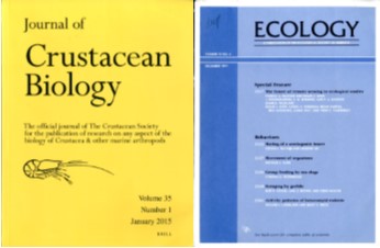 Adquisiciones libros y revistas del mes de Febrero de 2015