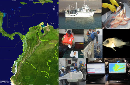 Gestión de recursos en aguas marinas jurisdiccionales de Colombia